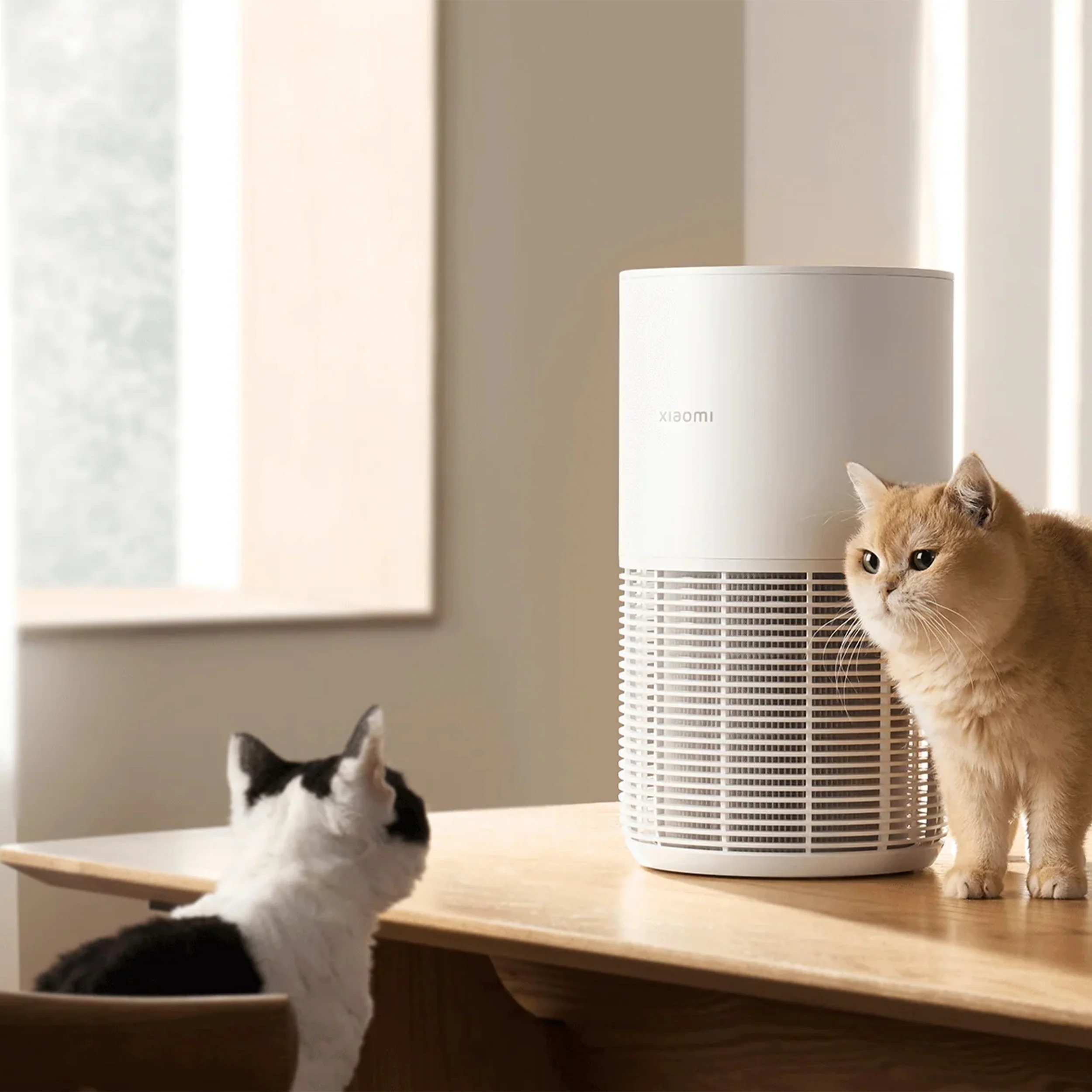 Xiaomi Mijia Smart Pet Care Air Purifier GB - Image 3